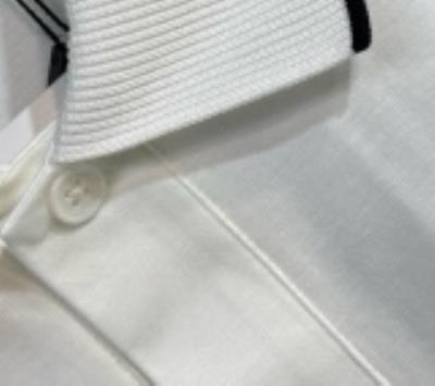 wholesale quality loro piana shirt model no. 19